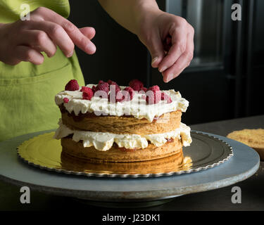 Frau Dekorieren ein köstliches 2-in-1-Kuchen mit Puderzucker und Sahne Himbeeren Stockfoto