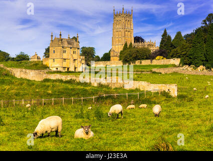 Chipping Campden Kirche auf Wiese gesehen mit den Schafen in alten Cotswold Stadt Chipping Campden, Cotswolds, Großbritannien Stockfoto