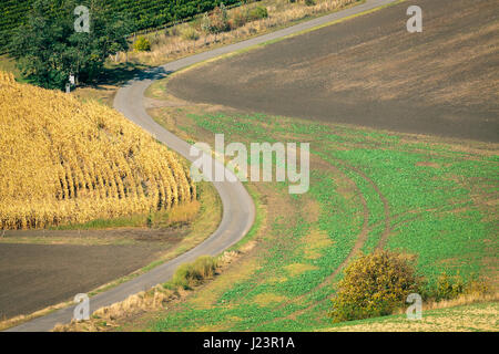 Leere Serpentinenstraße im mährischen Felder in Tschechien. Stockfoto