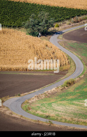 Leere Serpentinenstraße im mährischen Felder in Tschechien. Stockfoto