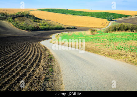 Leere Serpentinenstraße im mährischen Felder in Tschechien. Stockfoto