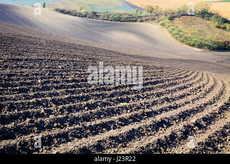 Hintergrund der neu gepflügtes Feld bereit für neue Pflanzen. Stockfoto