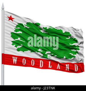 Woodland Flagge am Fahnenmast, USA Stockfoto