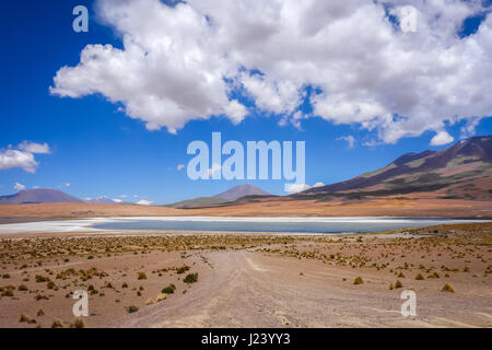 Altiplano Laguna im Sud Lipez Reserva Eduardo Avaroa, Bolivien Stockfoto