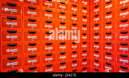 Ceske Budejovice, Tschechische Republik - 30. Juni 2016: Budvar Budweiser Brauerei. Wand aus Bierkisten. Stockfoto