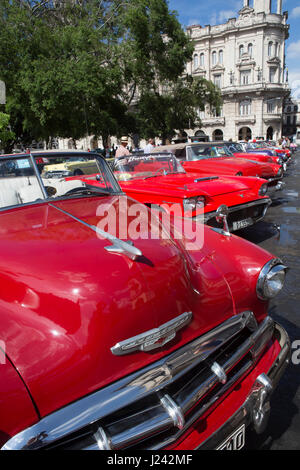 Klassische amerikanische Autos als Taxis in Havanna genutzt. Stockfoto