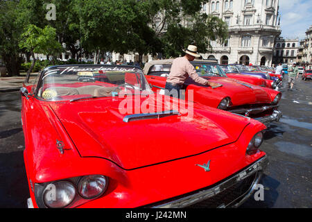 Klassische amerikanische Autos als Taxis in Havanna genutzt. Stockfoto