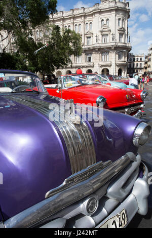 Klassische amerikanische Autos als Taxis in Havanna genutzt. Stockfoto