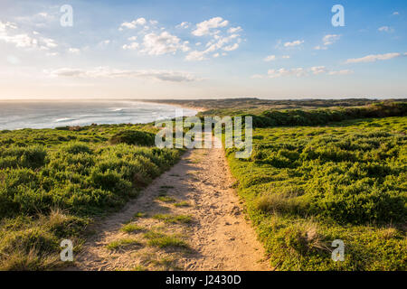 Die Pinnacles, Phillip Island, Victoria, Australien Stockfoto