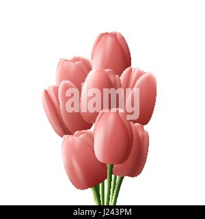 Blume Tulpe realistische isoliert auf weißem Hintergrund Stock Vektor