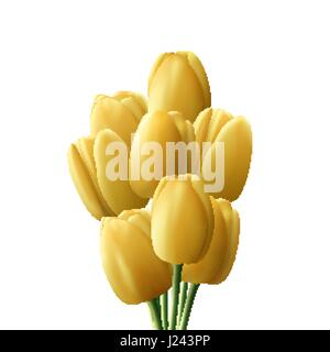 Blume Tulpe realistische isoliert auf weißem Hintergrund Stock Vektor