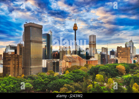 Warmen Sonnenuntergang über Sydney CBD Stadttürme und Hyde Park Bäume. Australischen Wahrzeichen und die Stadt unter dicken Wolken reflektierenden Sonnenlicht. Stockfoto