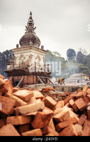 Eine Affe geht vorbei an einer der vielen Chaityas und steigenden Rauch aus den brennenden Beerdigung Pyers Pashupatinath Tempel. Kathmandu, Nepal. Stockfoto