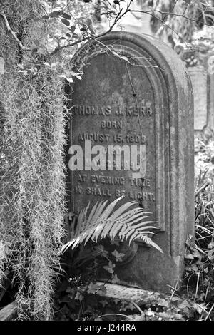 Alten Grabstein in historischen Charleston, South Carolina Stockfoto