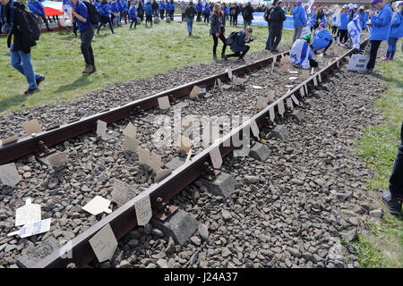 Auschwitz-Birkenau, Polen. 24. April 2017. Am Holocaust-Gedenktag (Yom HaShoah), März Tausende von Teilnehmern im Hintergrund von Auschwitz nach Birkenau, das größte nationalsozialistische Konzentrationslager komplexe während des zweiten Weltkrieges gebaut. Der Marsch der lebenden (Hebräisch: מצעד החיים) ist eine jährliche Bildungsprogramm, bringt Personen aus aller Welt nach Polen und Israel um die Geschichte des Holocaust zu studieren und zu prüfen, die Wurzeln der Vorurteile, Intoleranz und Hass. Bildnachweis: Rageziv/Alamy Live-Nachrichten Stockfoto