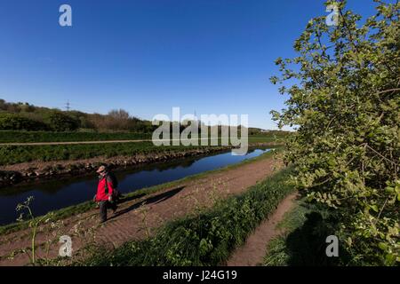 Chorlton, Manchester, UK. 25. April 2017. Eine knackige Frühlingsmorgen durch den Fluss Mersey in Chorlton, Manchester, UK heute. Kälte wird in dieser Woche mit Duschen erwartet, wie die Explosion der arktischen Wetter, der Schnee in Nordschottland gebracht hat zu bewegen beginnt, Süden. Chris Bull /Alamy Live-Nachrichten. Stockfoto