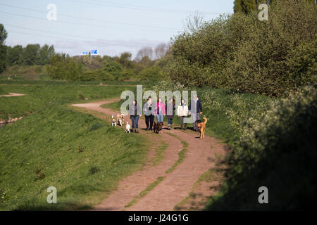 Chorlton, Manchester, UK. 25. April 2017. Eine knackige Frühlingsmorgen durch den Fluss Mersey in Chorlton, Manchester, UK heute. Kälte wird in dieser Woche mit Duschen erwartet, wie die Explosion der arktischen Wetter, der Schnee in Nordschottland gebracht hat zu bewegen beginnt, Süden. Chris Bull /Alamy Live-Nachrichten. Stockfoto