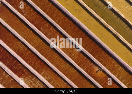 Xingtai, Chinas Provinz Hebei. 25. April 2017. Bauern Pflanzen Lotoswurzeln in Xingtai Economic Development Zone von Xingtai City, Nordchinas Provinz Hebei, 25. April 2017. Bildnachweis: Mu Yu/Xinhua/Alamy Live-Nachrichten Stockfoto