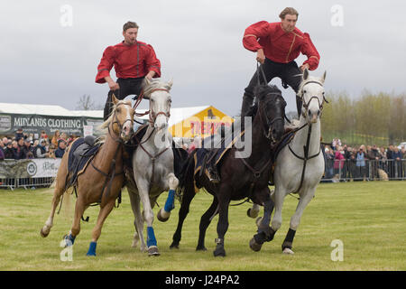 Die Devils Reiter stunt-Team anzeigen Stockfoto