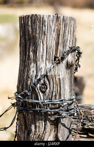 Hölzerner Zaunpfahl und Stacheldraht; Vandaveer Ranch; Salida; Colorado; USA Stockfoto