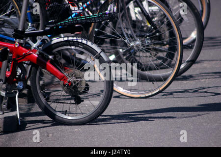 Fahrrad-Rad Stockfoto