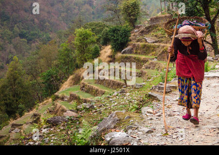 Nepal, März 2017: Eine ältere Frau trägt eine schwere Last auf dem Rücken mit traditionellen Weidenkörbe, die um den Kopf geschnallt. Viele schwere Gegenstände müssen b Stockfoto