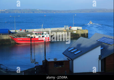 Fähre im Hafen von Baltimore, Grafschaft-Korken, Irland, irische Republik Blick auf Sherkin Island Stockfoto