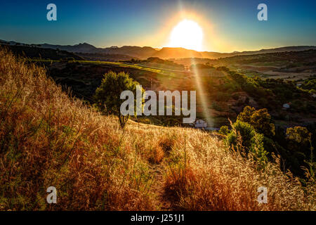 Ein Lichtstrahl durchbricht den dramatischen Himmel bei Sonnenuntergang und prallte gegen einen einsamen Baum auf einem Hügel. Eine Landschaft-Szene in Andalusien, Spanien Stockfoto