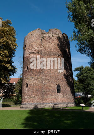 Die Kuh-Tower, eines der frühesten Artillerie-Blockhäuser in England, Norwich, Norfolk, England, Vereinigtes Königreich Stockfoto