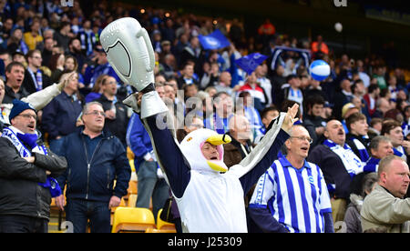 Brighton-Fans unter anderem gekleidet wie eine Möwe feiert Aufstieg in die Premier League während der Himmel Bet Meisterschaftsspiel zwischen Norwich City und Brighton und Hove Albion an der Carrow Road in Norwich. 21. April 2017. FA Premier League und der Football League Bilder unterliegen DataCo Lizenz siehe www.football-dataco.com nur zur redaktionellen Verwendung Stockfoto