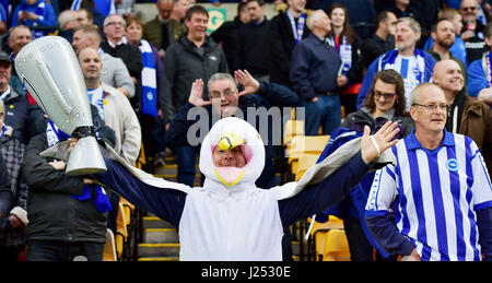 Brighton-Fans unter anderem gekleidet wie eine Möwe feiert Aufstieg in die Premier League während der Himmel Bet Meisterschaftsspiel zwischen Norwich City und Brighton und Hove Albion an der Carrow Road in Norwich. 21. April 2017. FA Premier League und der Football League Bilder unterliegen DataCo Lizenz siehe www.football-dataco.com nur zur redaktionellen Verwendung Stockfoto