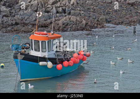 Kleines Fischerboot und europäische Silbermöwen (Larus Argentatus) in eine Cornish in Großbritannien Hafen Stockfoto