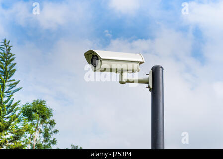 Überwachungskamera im Park installiert. Stockfoto