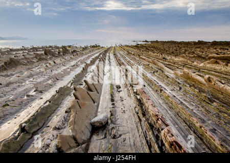 Flysch in Sakoneta Strand, Baskenland Stockfoto