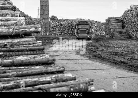 Riga, Lettland - 25. September 2016: Der Hafen von Riga. Log-LKW-Warteliste für entladen. Stockfoto