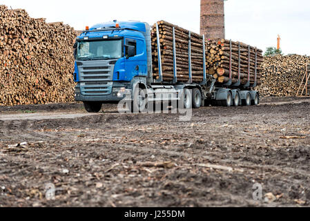 Riga, Lettland - 25. September 2016: Der Hafen von Riga. Log-LKW-Warteliste für entladen. Stockfoto