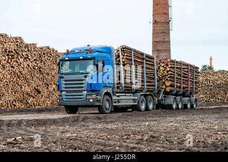 Riga, Lettland - 25. September 2016: Der Hafen von Riga. Log-LKW-Warteliste für entladen. Stockfoto