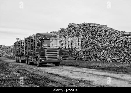 Riga, Lettland - 25. September 2016: Der Hafen von Riga. Log-LKW-Warteliste für entladen. Stockfoto