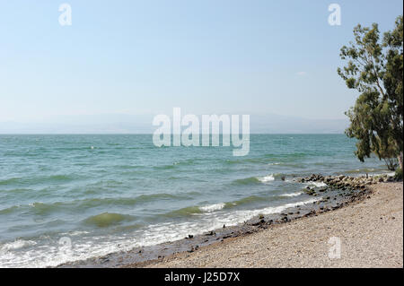 See Genezareth (Kinneret), der größte Süßwassersee in Israel Stockfoto