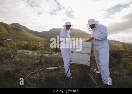 Volle Länge des männlichen und weiblichen Imker arbeiten am Bienenstock am Bienenstand Stockfoto
