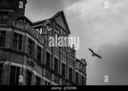 Beeindruckende Architektur in Liverpool, England, UK fotografiert. Stockfoto