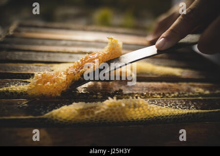 Nahaufnahme der Imker kratzen Wachs aus Waben Stockfoto