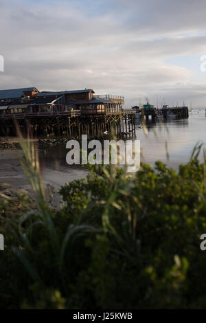 Alten Fishermans Wharf, Monterey, Kalifornien Stockfoto