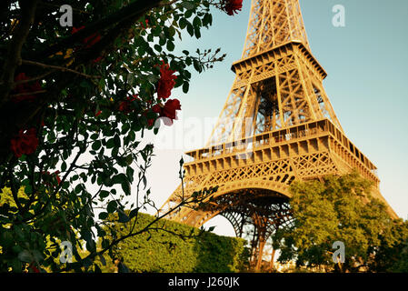 Eiffelturm und Blume im Garten in Paris Stockfoto