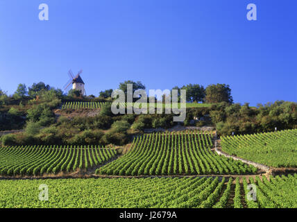 WEINGUT SANTENAY Windmühle, die einen Schwerpunkt über dem Weinberg Les Graviéres macht Santenay Côte d'Or, Frankreich. Stockfoto