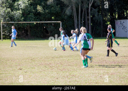 Damen Frauen Amateur Fußball Fußballspiel in Australien, Teil der Manly Warringah Fußball Liga der Spiele, mit Schiedsrichter Stockfoto