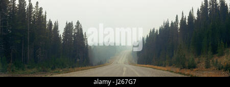 Nebligen Straße im Wald im Banff National Park Stockfoto