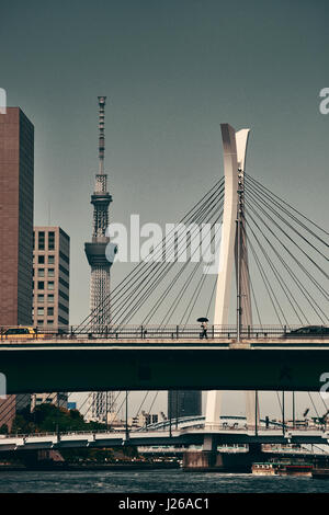 TOKYO, JAPAN - Mai 15: Skytree als das Wahrzeichen der Stadt am 15. Mai 2013 in Tokio. Tokio ist die Hauptstadt von Japan und der bevölkerungsreichsten Ballungsraum in Stockfoto