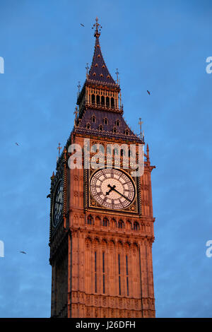 Big Ben, Houses of Parlament, London, England, Vereinigtes Königreich, Europa Stockfoto