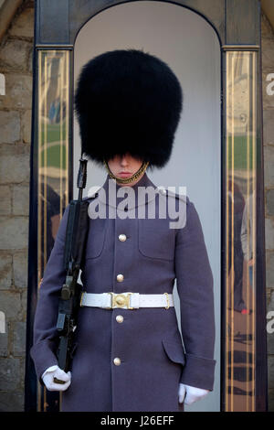 Königinnenwache im Winter Uniform auf Windsor Castle, England, UK, Europe Stockfoto